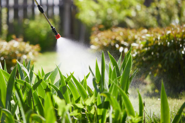 24/7 Emergency Mosquito Control experts in Oxford, PA